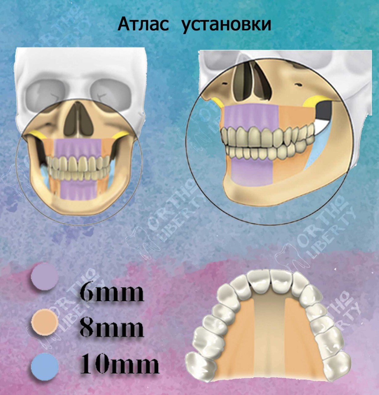 Библиотека